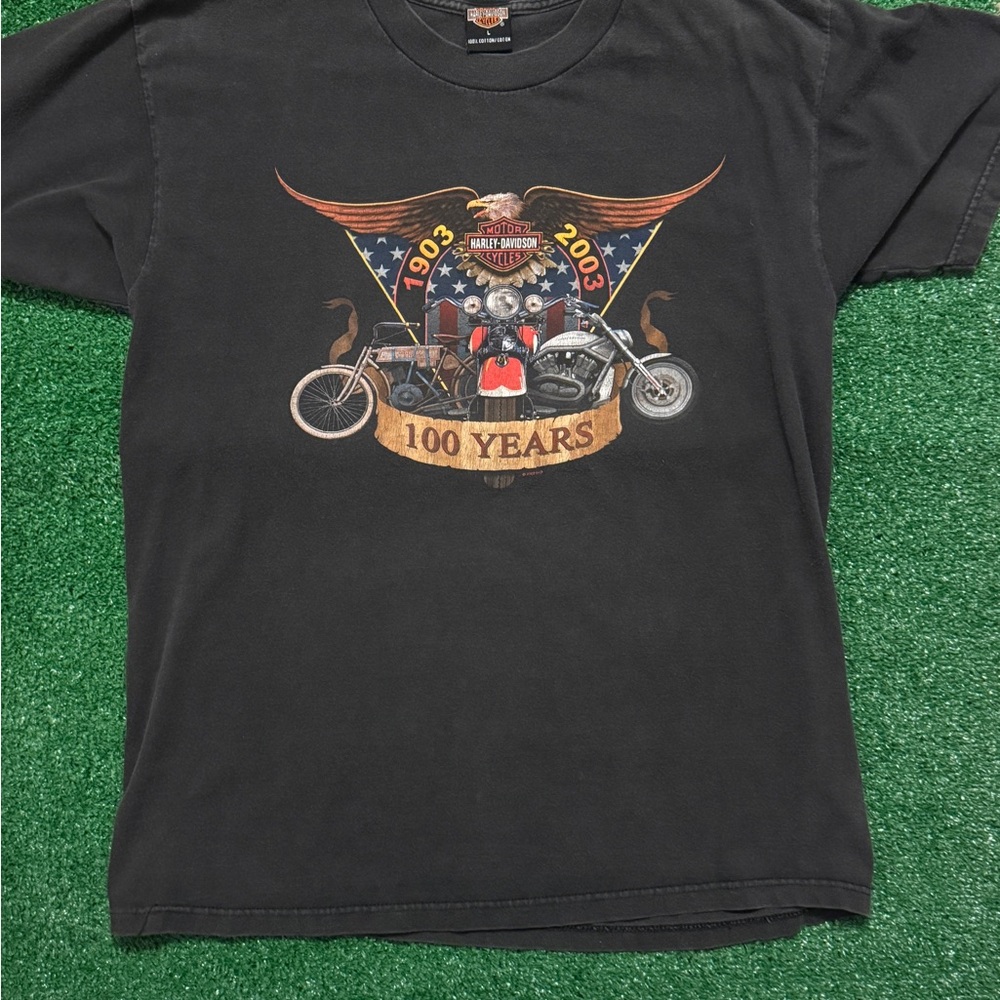 Harley-Davidson Black and Brown Graphic Tee